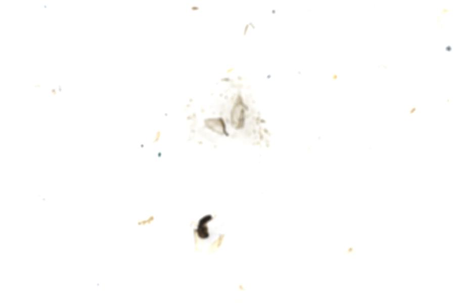 Image 87
